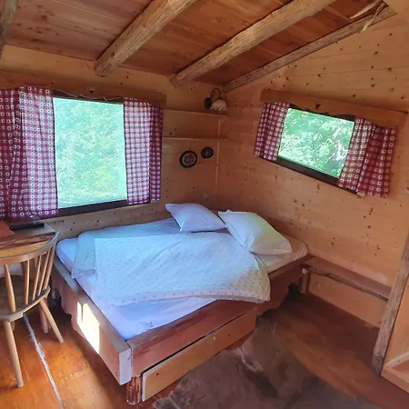 Treehouse Toplak * Ruse