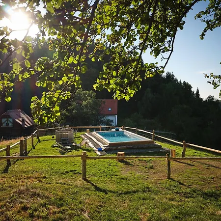 Treehouse Toplak Ruse