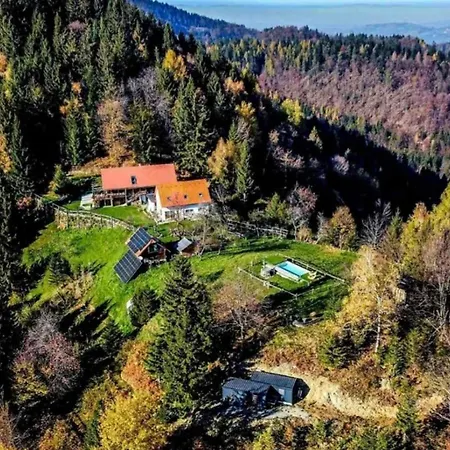 Treehouse Toplak Chalet *