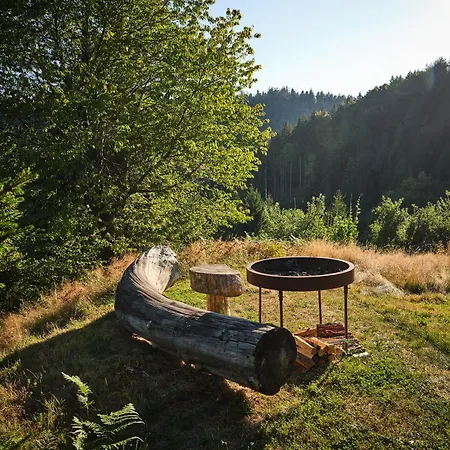 Treehouse Toplak