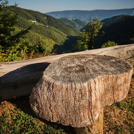 בקתה Treehouse Toplak *