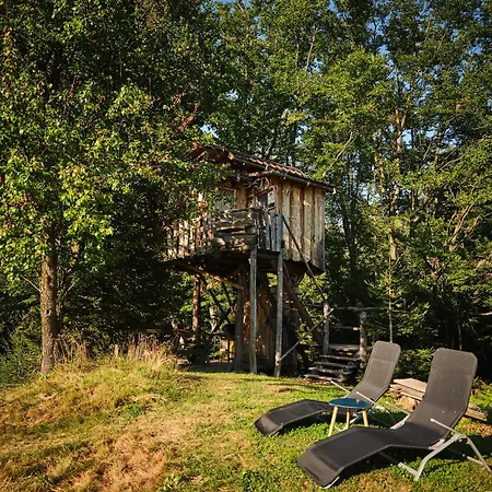 Treehouse Toplak
