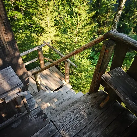 Treehouse Toplak בקתה