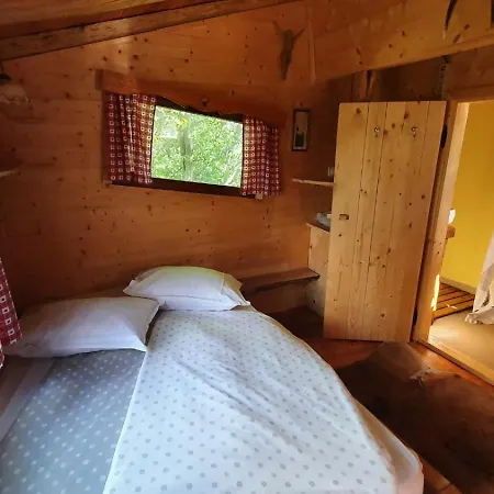 Treehouse Toplak * Ruse