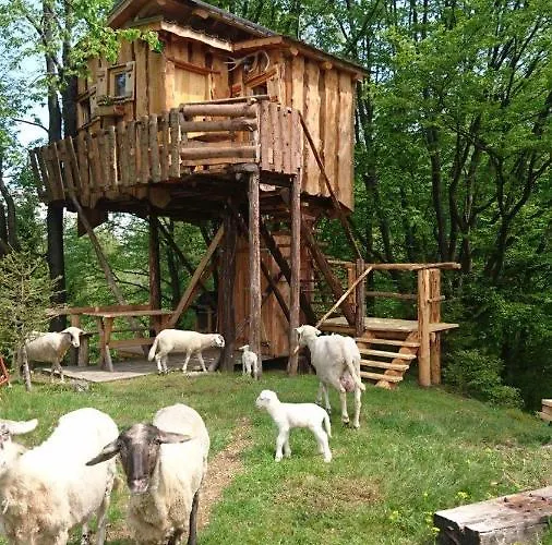 シャレー Treehouse Toplak