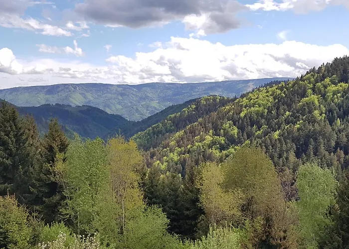Treehouse Toplak Dağ evi