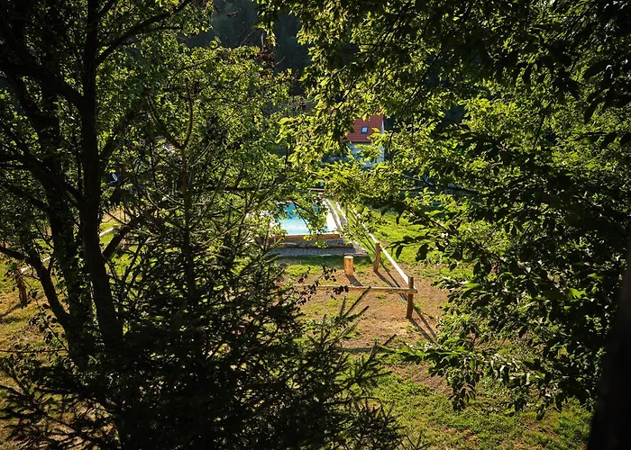 Treehouse Toplak Dağ evi *