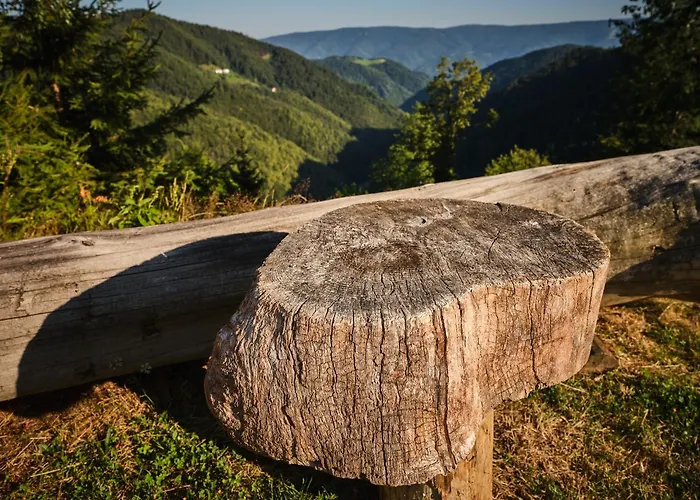 Dağ evi Treehouse Toplak *