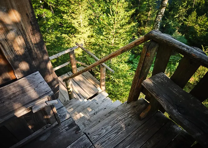 Treehouse Toplak シャレー