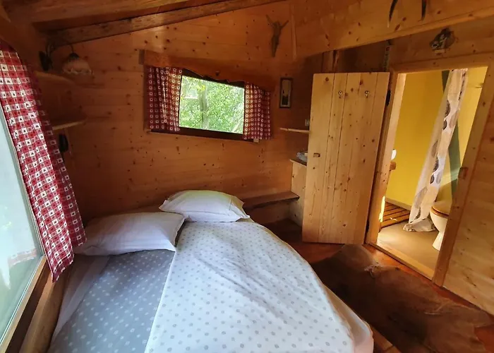 Treehouse Toplak * Ruse